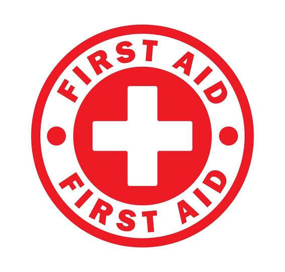 ​Proactive Safety and Street Medicine: Protecting Each Other at Demonstrations
